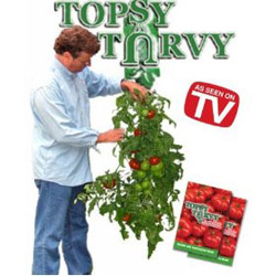 Topsy Turvy Tomato 